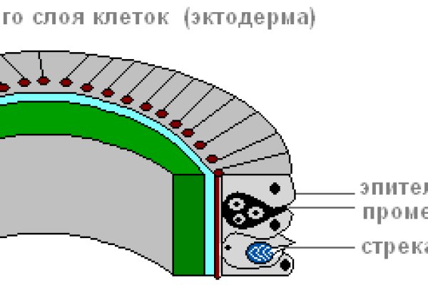 Зеркала онион сайтов