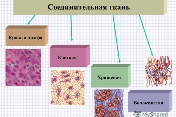 Даркнет закладки